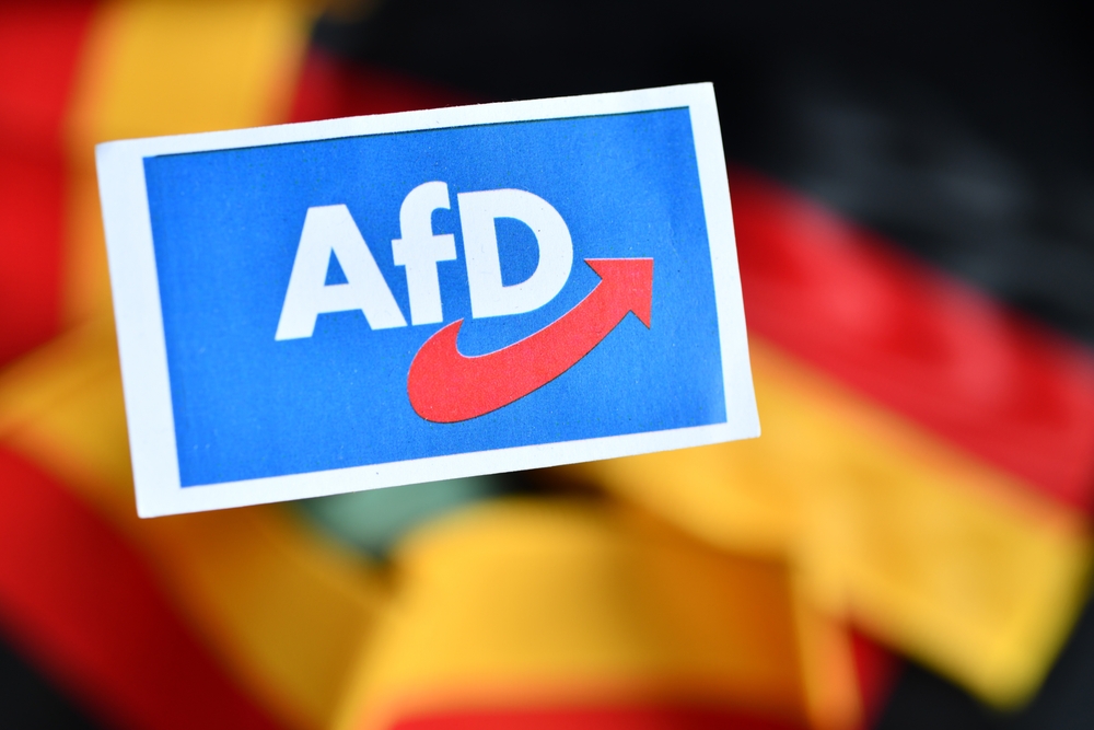 Drapeau avec logo AFD, Allemagne