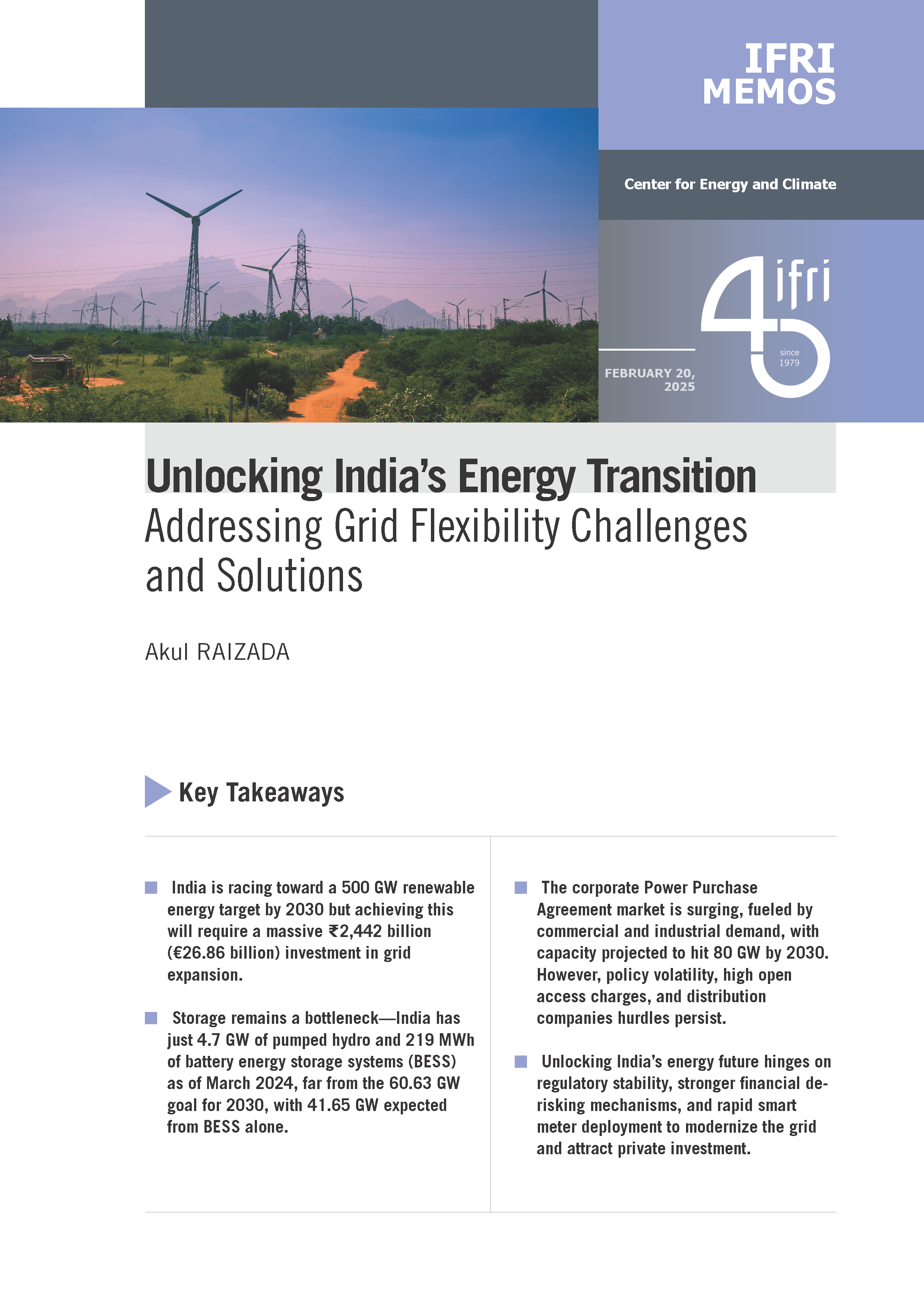 Couverture du briefing sur la transition énergétique de l'Inde d'Akul Raizada