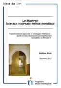 Transformations agricoles et stratégies d'influence : quelle lecture des investissements fonciers saoudiens en Éthiopie ?