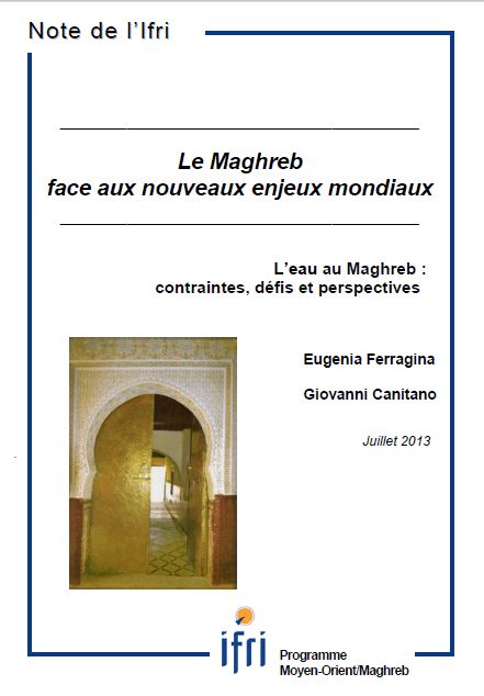 L'eau au Maghreb : contraintes, défis et perspectives