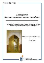 Stratégie de positionnement régional de l'Afrique du Sud : quels enseignements pour les pays du Maghreb ?