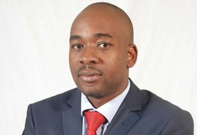 chamisa.jpg