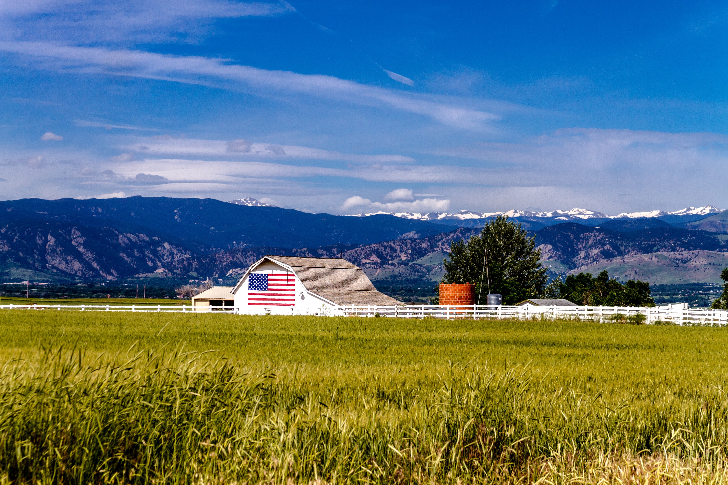 Champ de blé cultivé près des montagnes Rocheuses dans l'Ouest des Etats-Unis