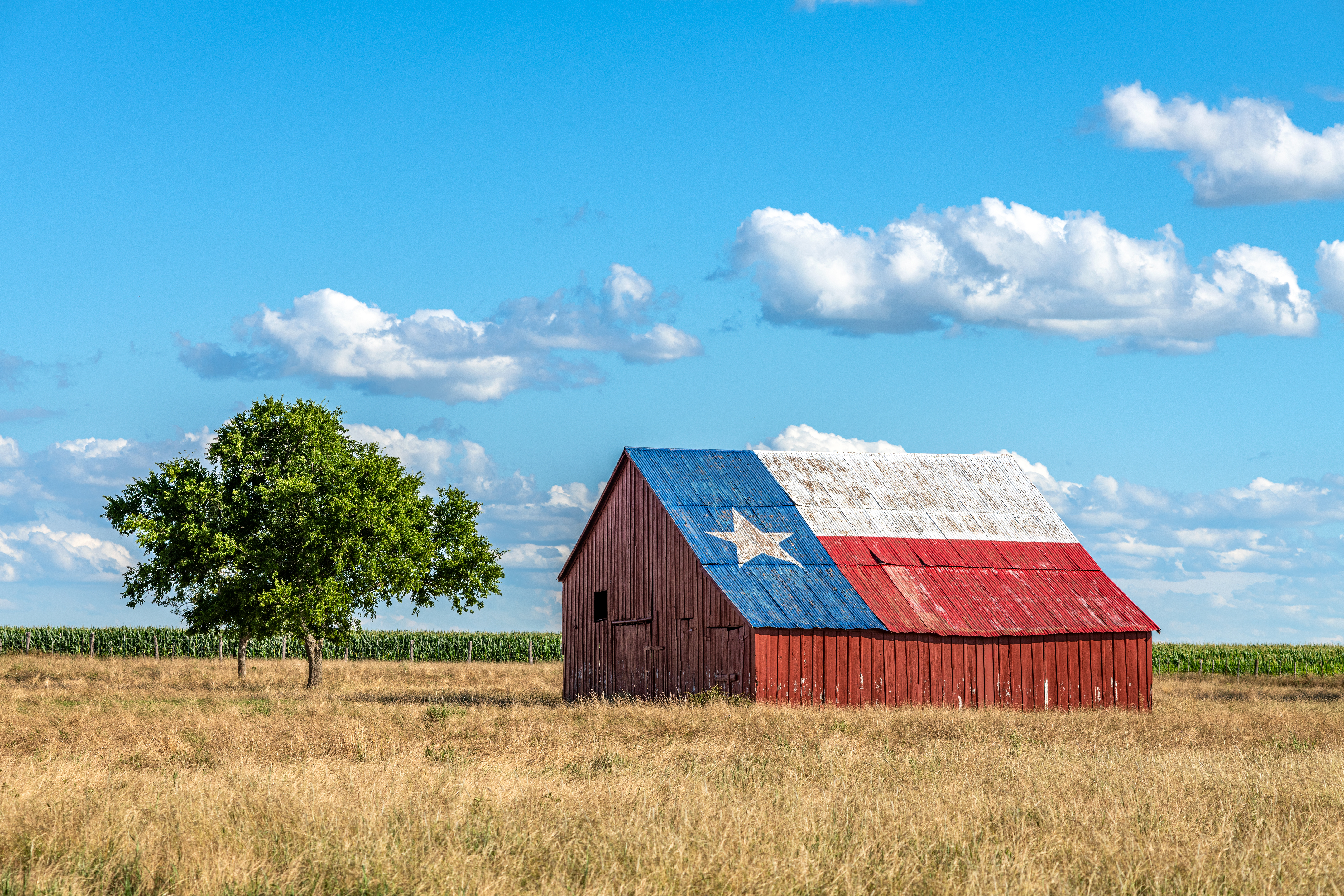 Une vieille grange abandonnée avec le drapeau du Texas peint sur le toit.