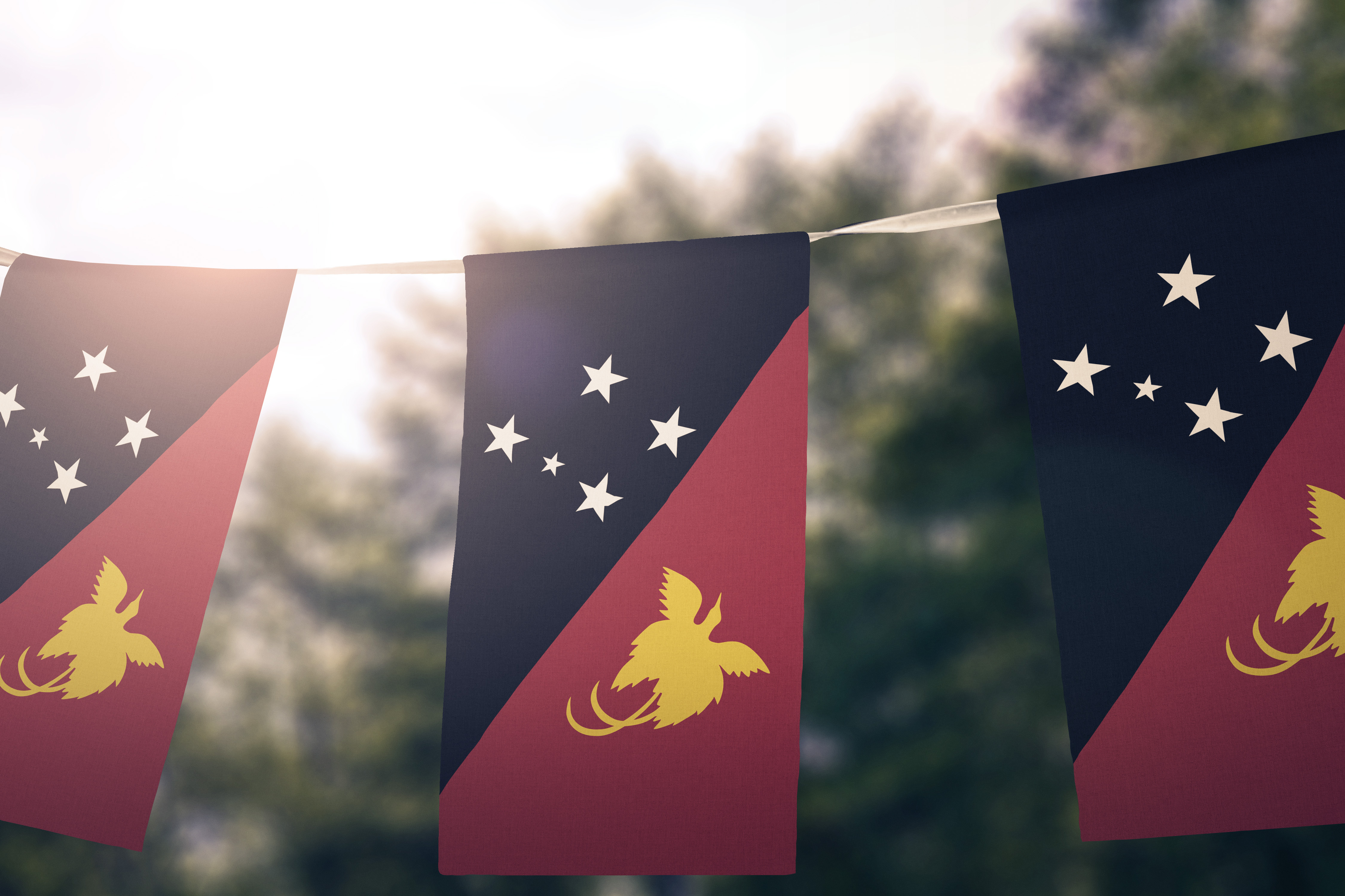 png_flags.jpg