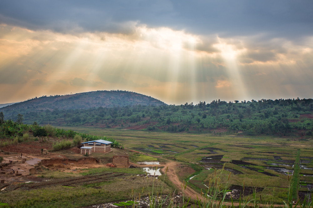 Paysage burundais