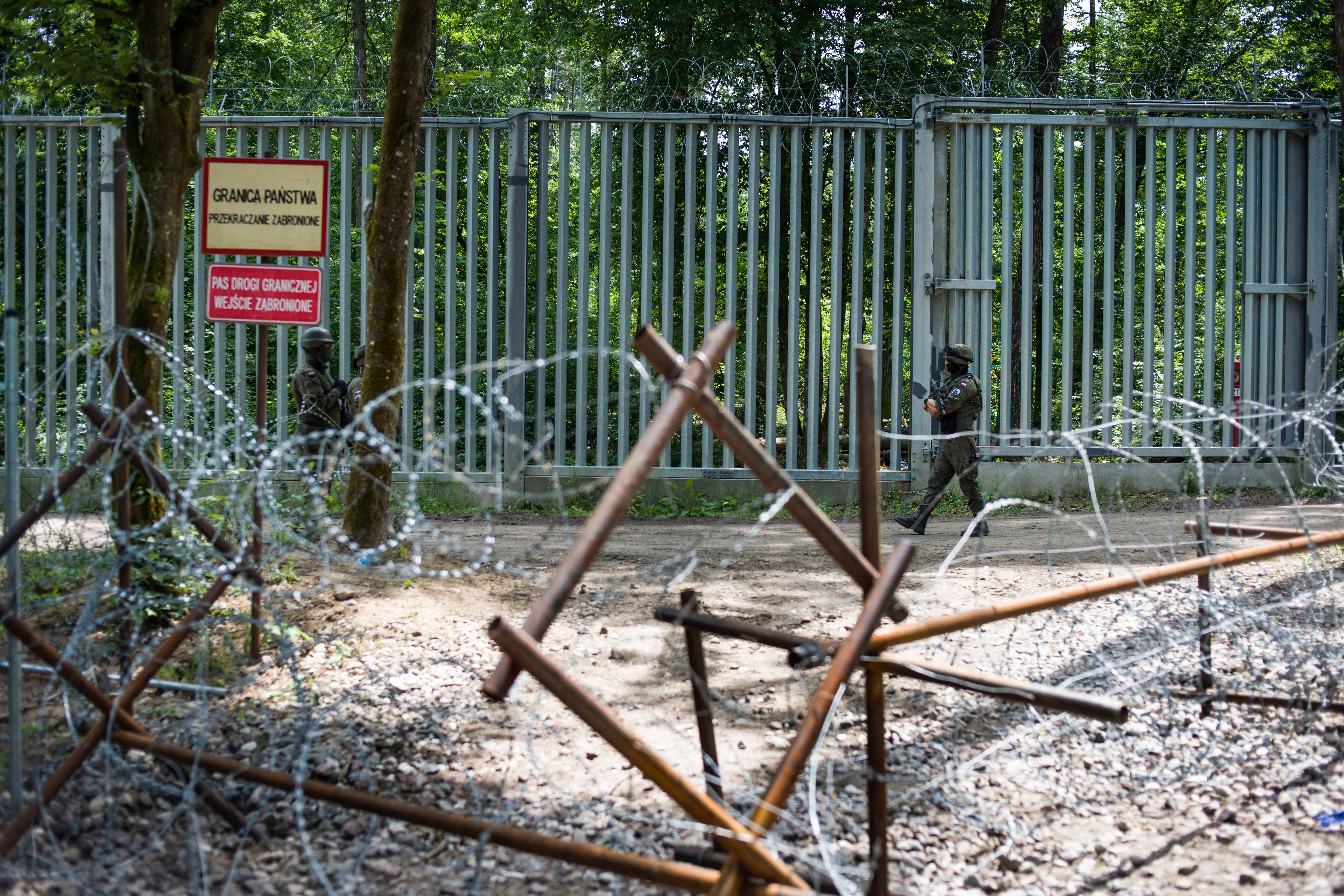 Zone d’exclusion à la frontière polonaise avec la Biélorussie dans la forêt de Bialowieza, 3 juin 2024