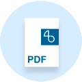 PDF icon